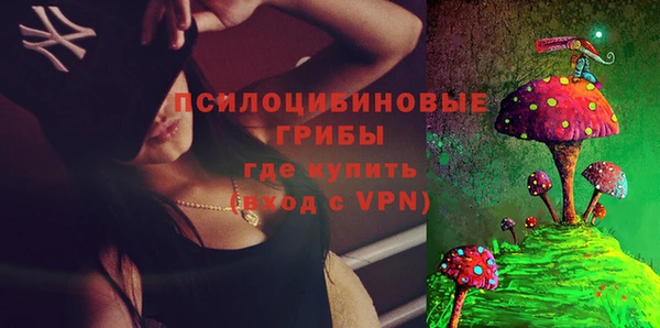 ПСИЛОЦИБИНОВЫЕ ГРИБЫ Балабаново