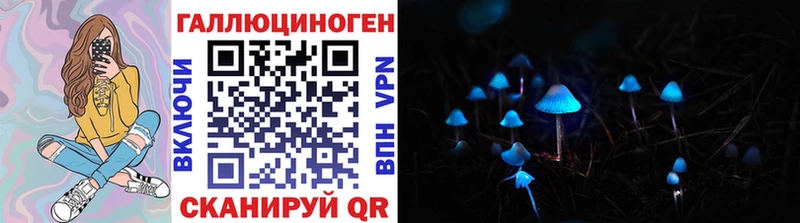 Галлюциногенные грибы Cubensis  kraken ТОР  Дорогобуж 