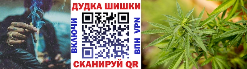 mega как войти  Дорогобуж  Бошки Шишки семена 